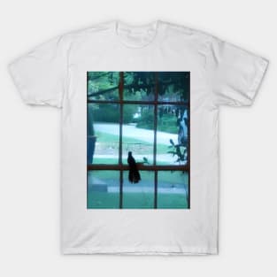 To sit a Mockingbird T-Shirt